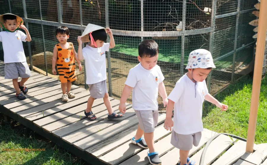 Trường Mầm Non Carrot Montessori House