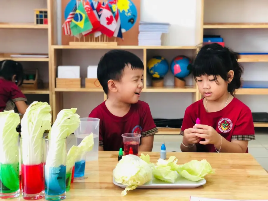 Trường mầm non Úc Châu