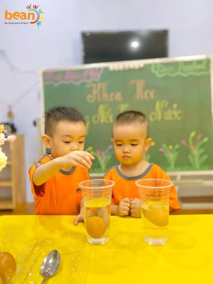 Trường Mẫu Giáo Hạt Đậu Nhỏ (Bean Preschool)