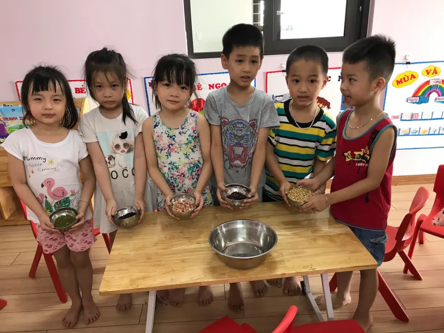Trường mầm non Hoa Trạng Nguyên - Đà Nẵng, Hải Phòng