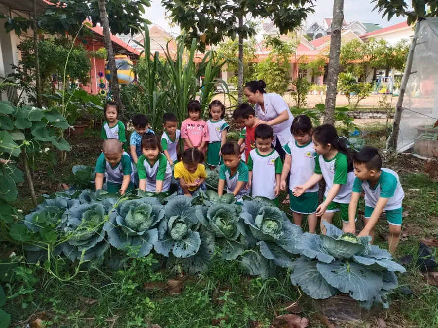 Trường mầm non Hồng Phát