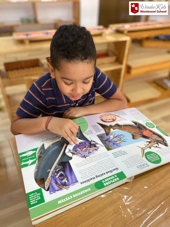 Trường mầm non Quốc Tế Wonderkids Montessori (WMS)
