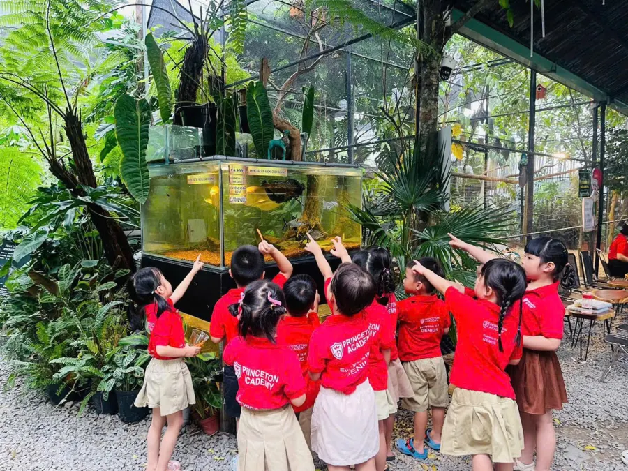 Trường Mầm Non Học Viện Hoàng Tử - PRINCETON ACADEMY