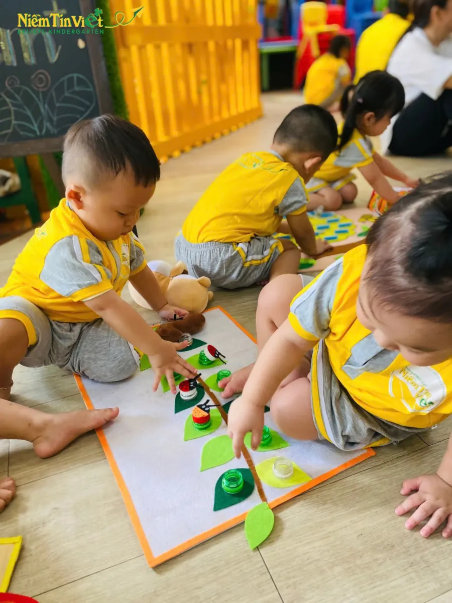 Mầm Non Niềm Tin Việt