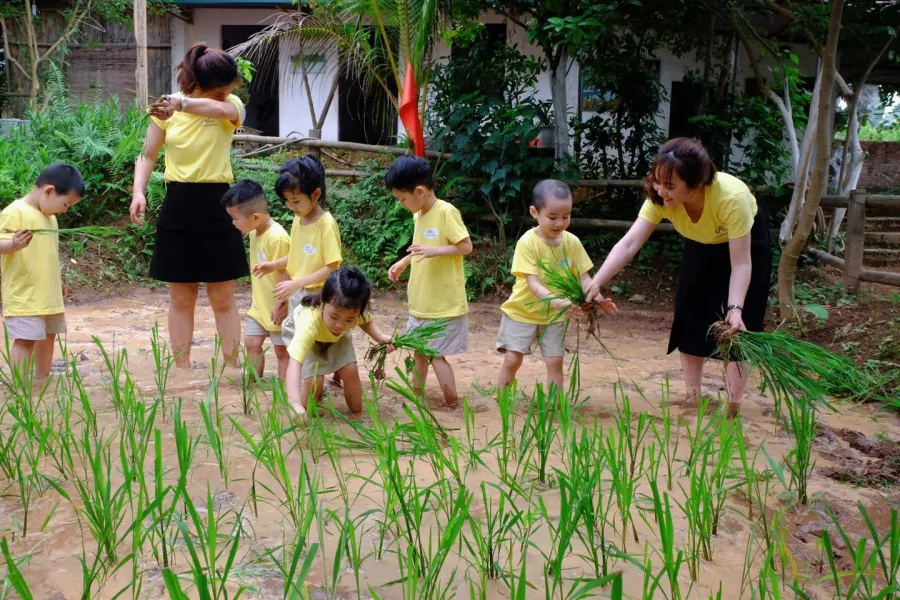 Trường Mầm Non Bình Minh A - Hàm Nghi