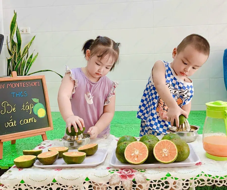 Trường Mầm Non Montessori Vinh - Quang Trung, Hà Huy Tập