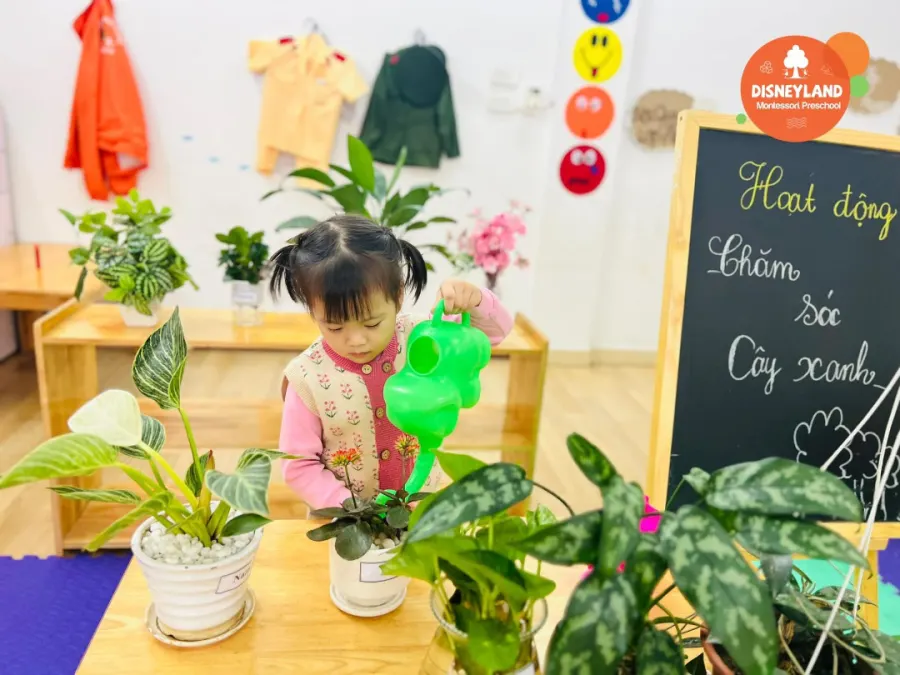 Trường Mầm Non Disneyland - Đại Phúc
