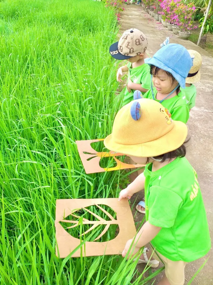 Mầm Non Sơn Ca - Trần Quang Diệu, Bình Định