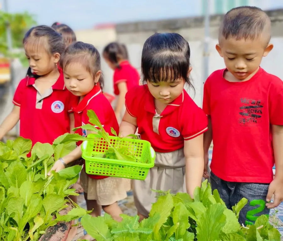 Trường mầm non Hoa Hồng