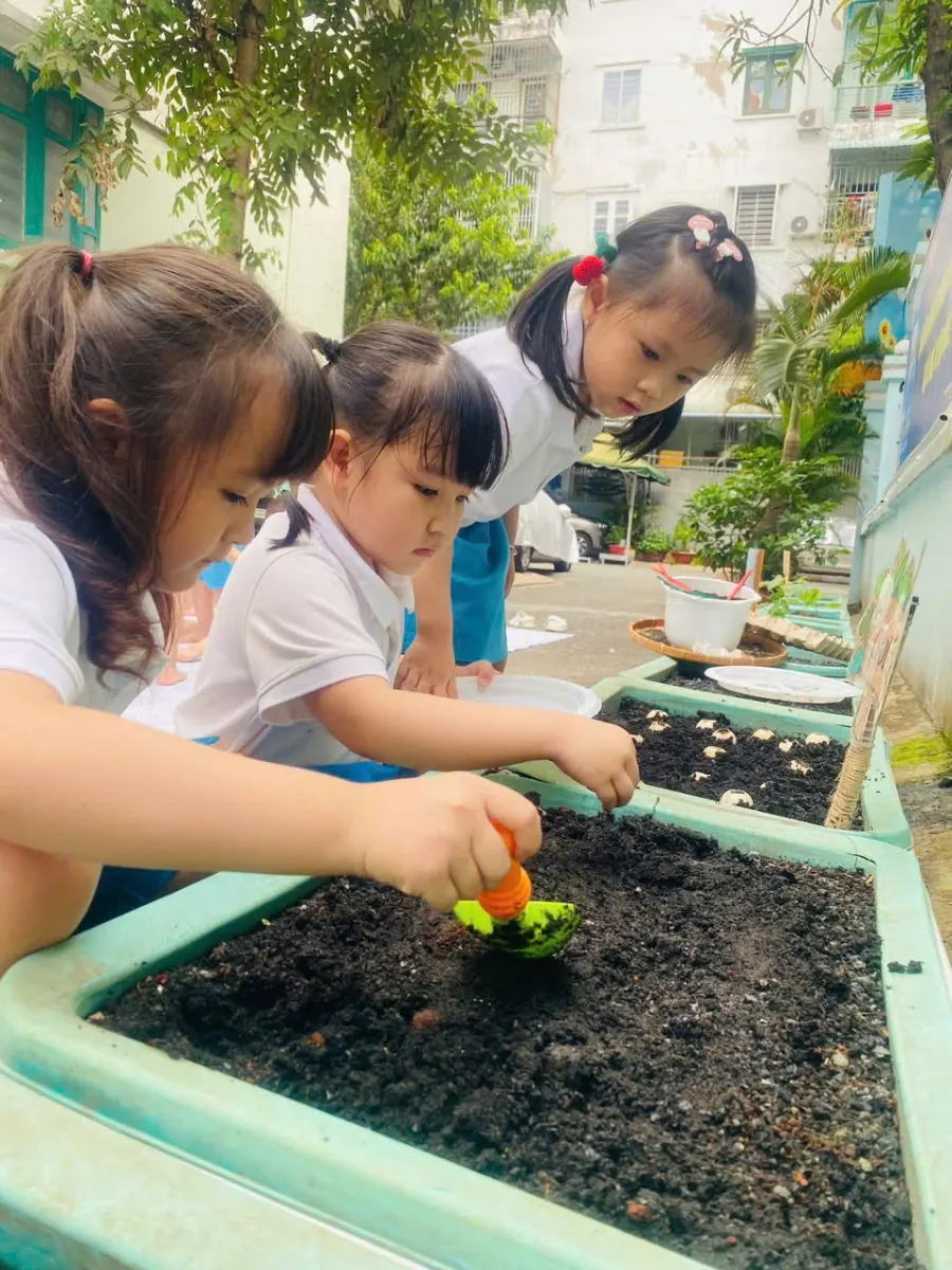 Trường Mầm Non Bầu Trời Xanh - Dương Quảng Hàm, Gò Vấp