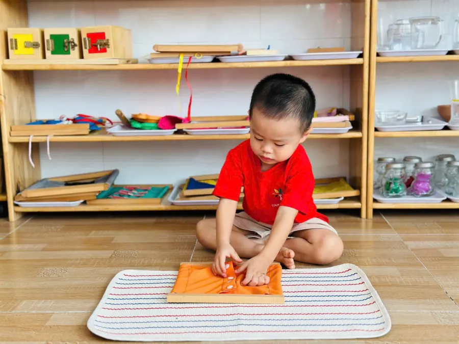 Trường Mầm Non Tân Việt Mỹ