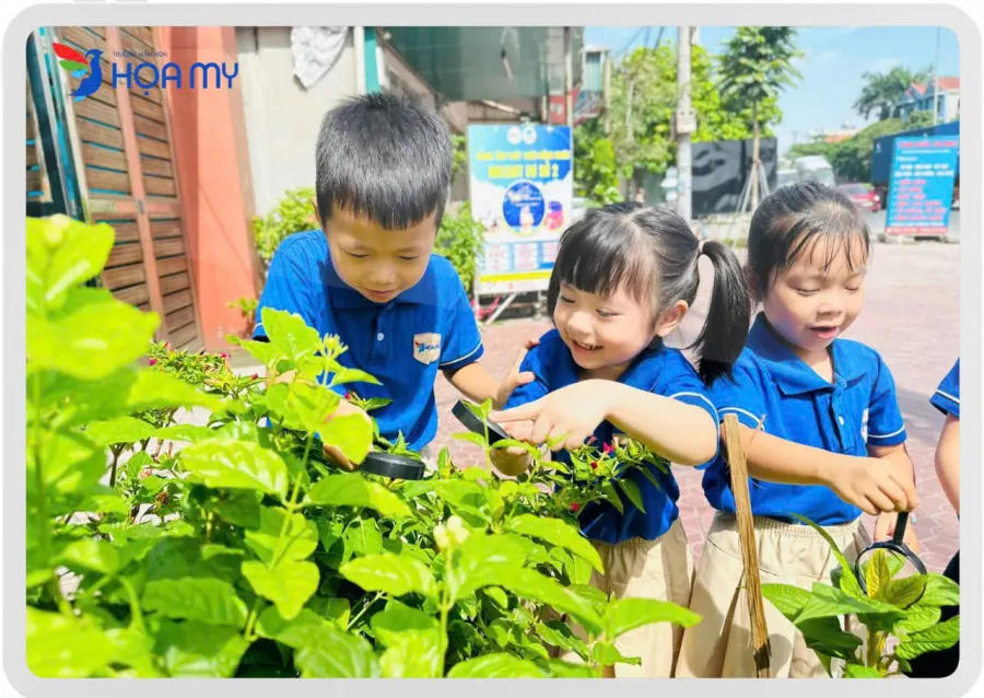 Trường Mầm Non Tư Thục Họa My