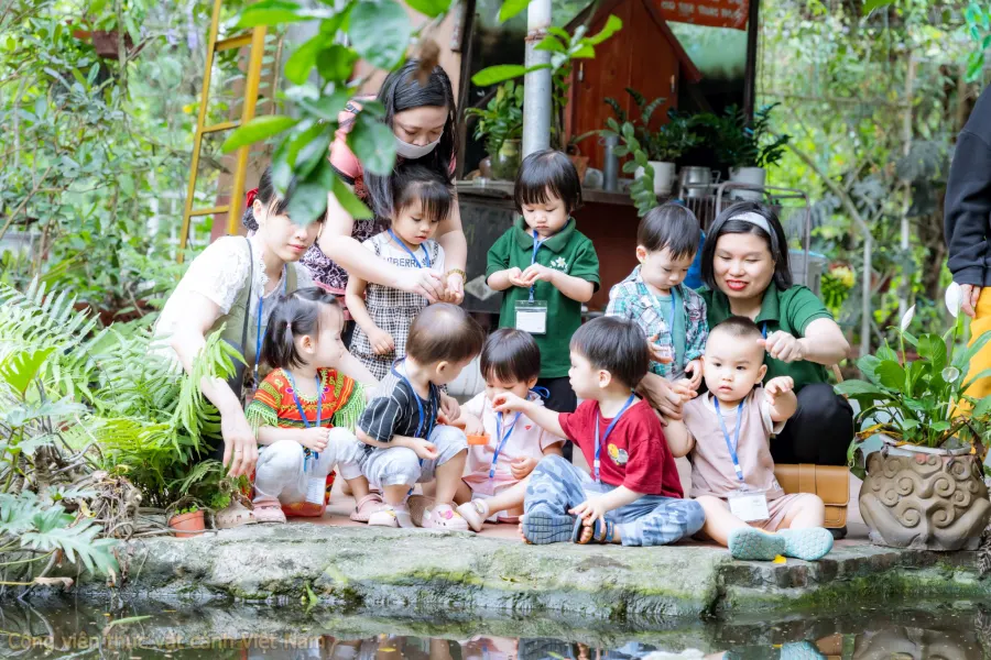 Mầm non song ngữ Jasmine (Jasmine Bilingual Preschool) - KĐT Mỹ Đình 2