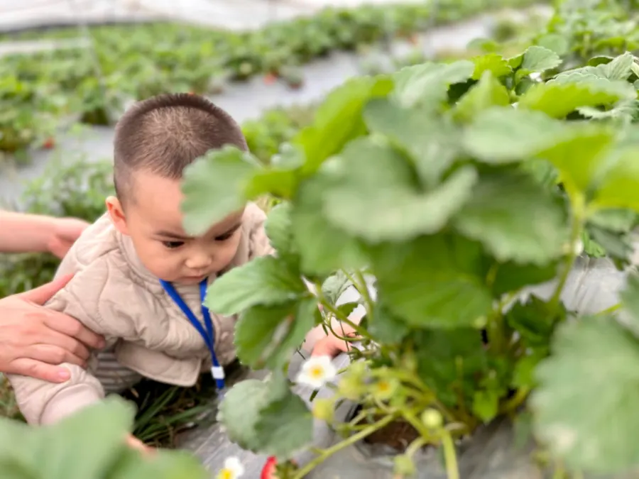 Mầm non song ngữ Jasmine (Jasmine Bilingual Preschool) - KĐT Mỹ Đình 2