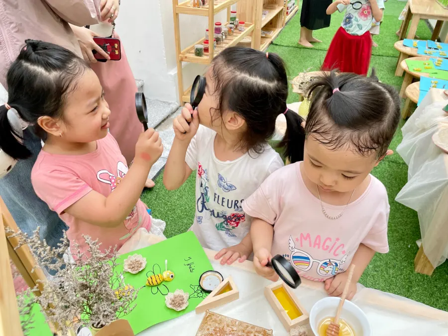 Mầm non song ngữ Jasmine (Jasmine Bilingual Preschool) - KĐT Mỹ Đình 2