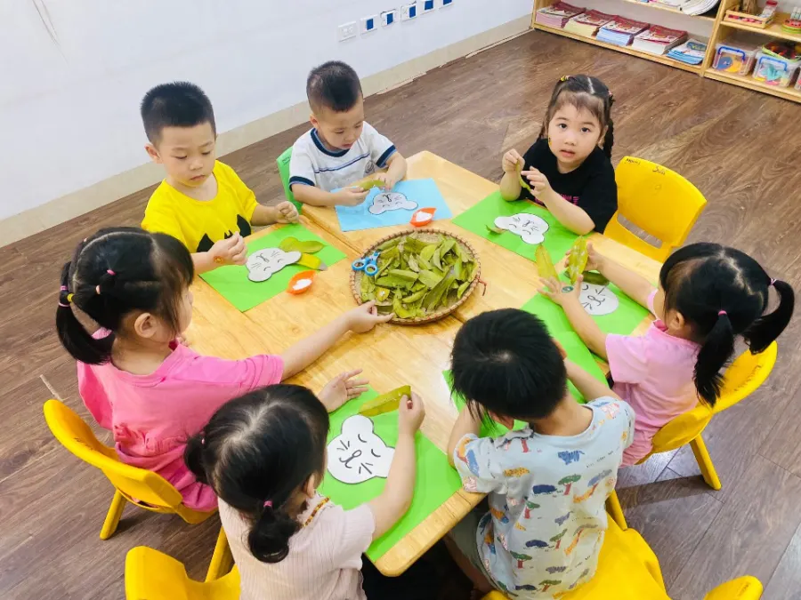 Mầm Non Cầu Vồng Nhỏ (Little Rainbow)