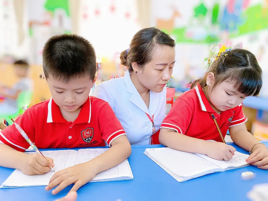 Trường Mầm non - Tiểu học Việt Anh