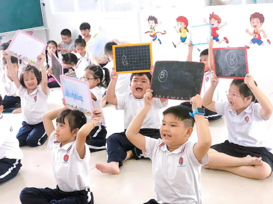 Trường Tiểu học - Mầm non Việt Anh