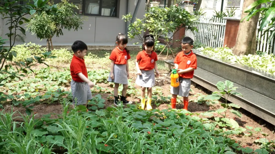 Trường Mầm Non & Tiền Tiểu Học Song Ngữ Quốc Tế Hanoi Academy - KĐT Ciputra