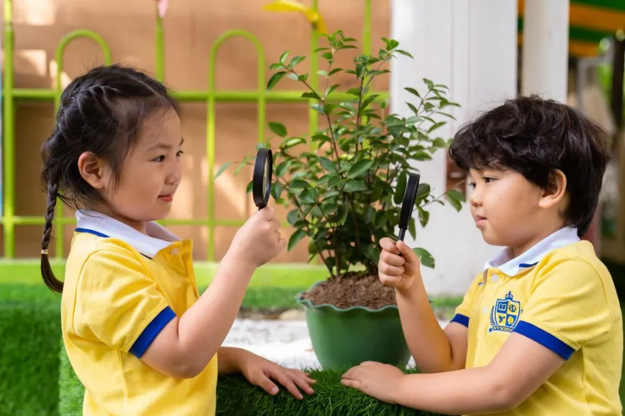 IVY School - Cơ sở Bambi K300