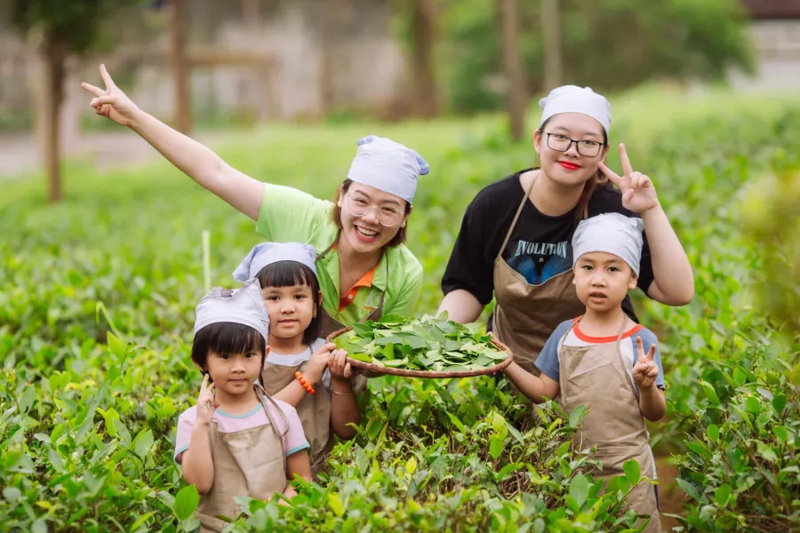 Trường Mầm Non Song Ngữ IQ Montessori (Cơ sở Gamuda City)