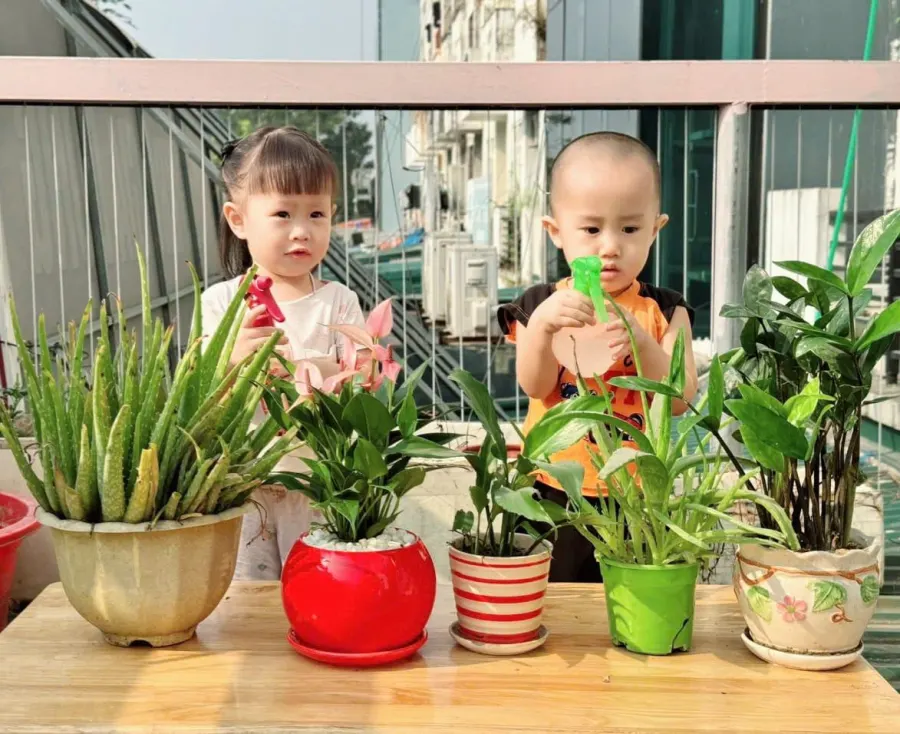 Trường Mầm Non Hoa Sữa
