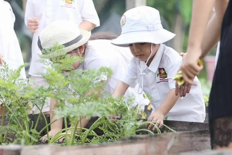 Trường Mầm Non Song Ngữ Ngôi Sao Sáng ( Bright Star CDC) - SaiGon Pearl Campus