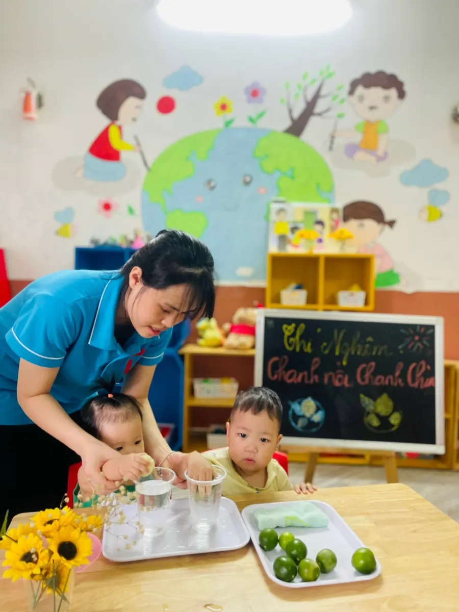Trường Mầm Non Hoa Phong Lan