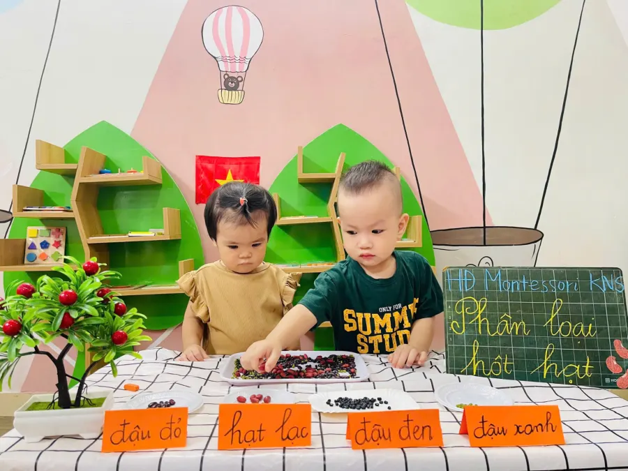 Trường Mầm Non Thiên Ánh