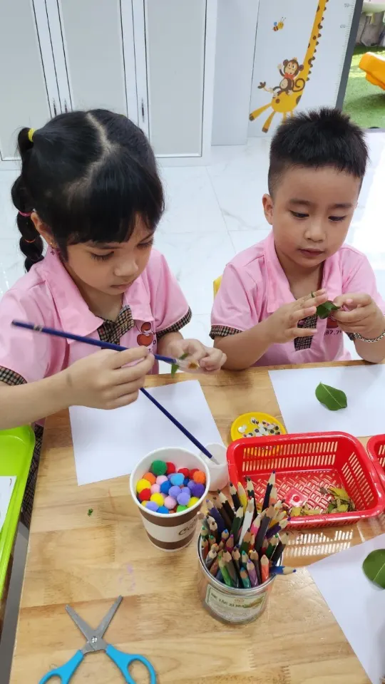 Mầm Non Hạt Giống - The Seed Kindergarten