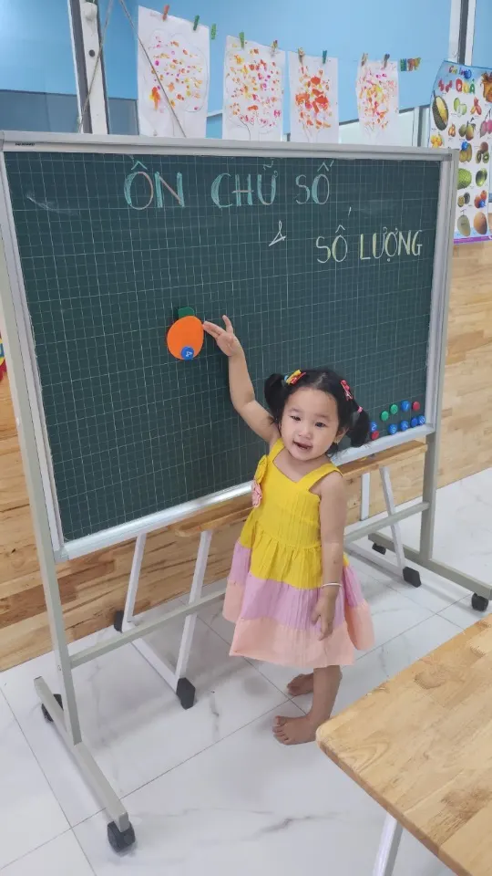 Mầm Non Hạt Giống - The Seed Kindergarten