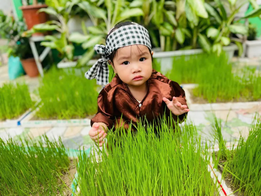 Trường mầm non Sao Sáng Plus