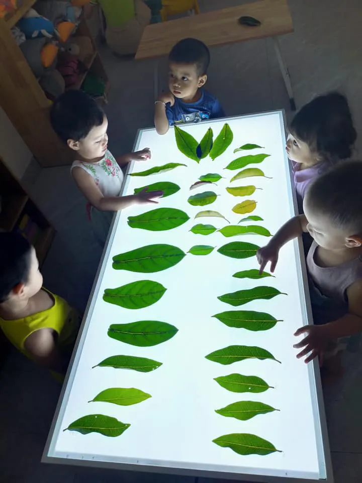 Trường mầm non Bút Chì