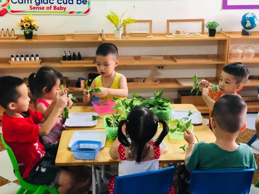 Trường mầm non Hoa Hồng 2 - KĐT Nam La Khê