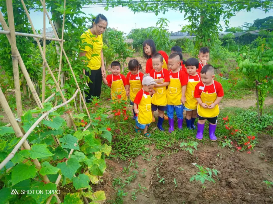Trường mầm non Sao Sáng