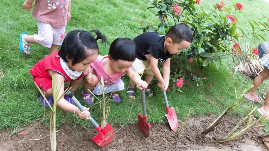 Mầm non Tâm An Kindergarten