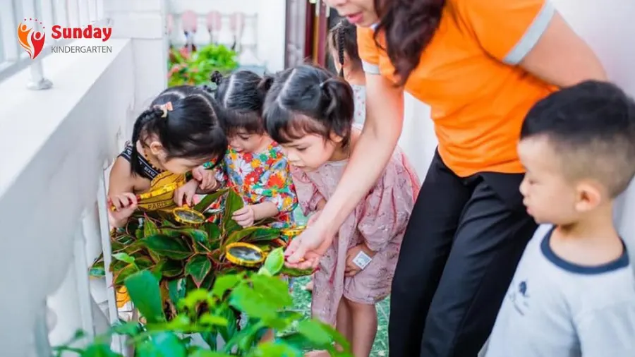 Trường Mầm Non SunDay Kindergarden