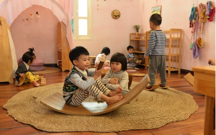 Mầm non Koi Steiner