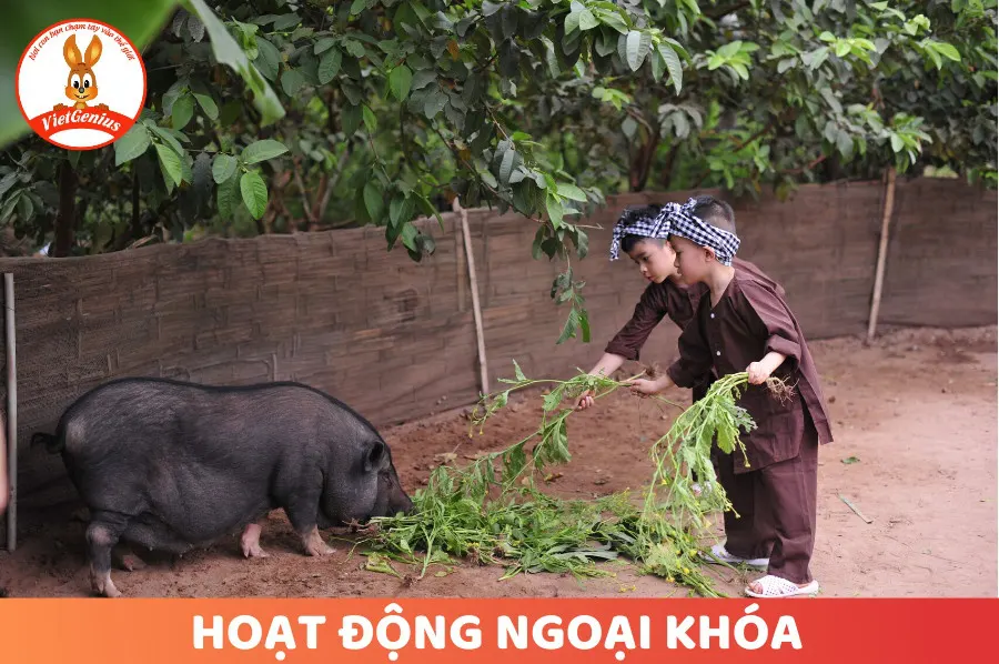 Hệ Thống Mầm Non Hiền Tài Việt (VietGenius Minh Khai)