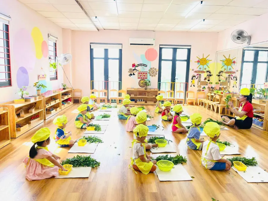Mầm Non Sao Việt 3 - Siêu Trí Nhớ - Thống Nhất, Dĩ An