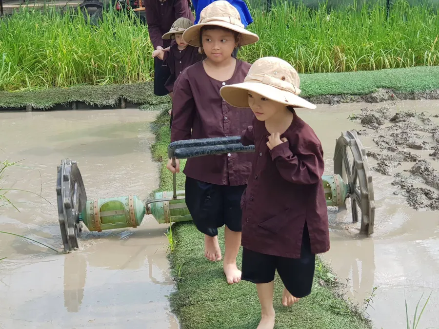 Trường mầm non Learn N Play