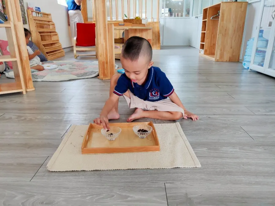 Trường Mầm non Edukids Montessori