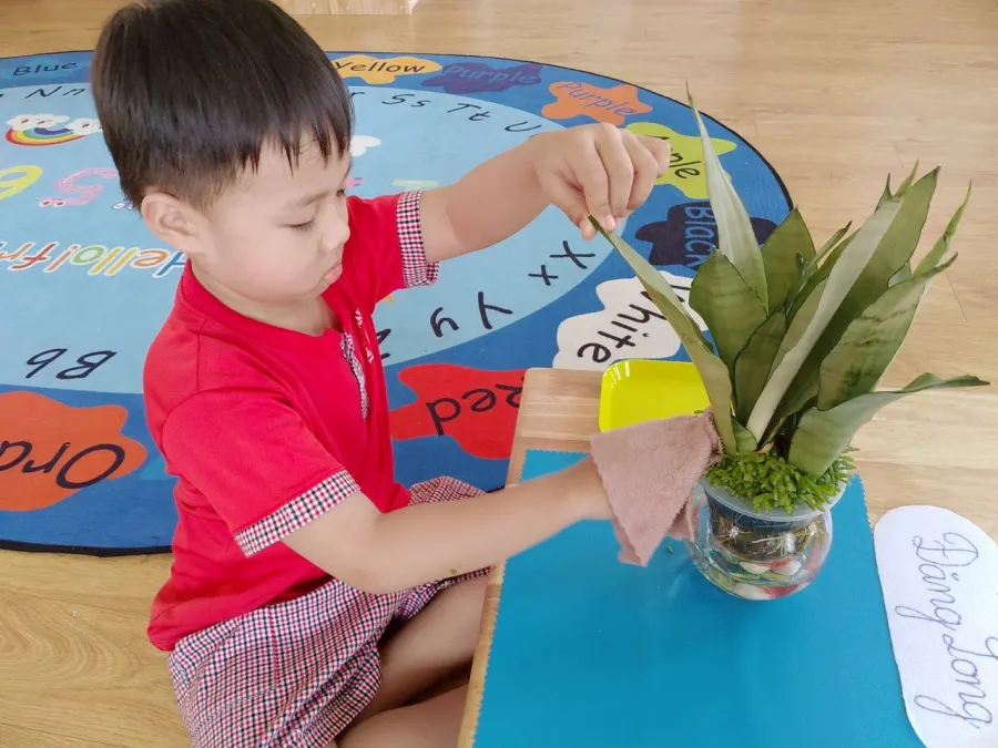 Trường Mầm non Thiên Ấn Montessori - Phường 9