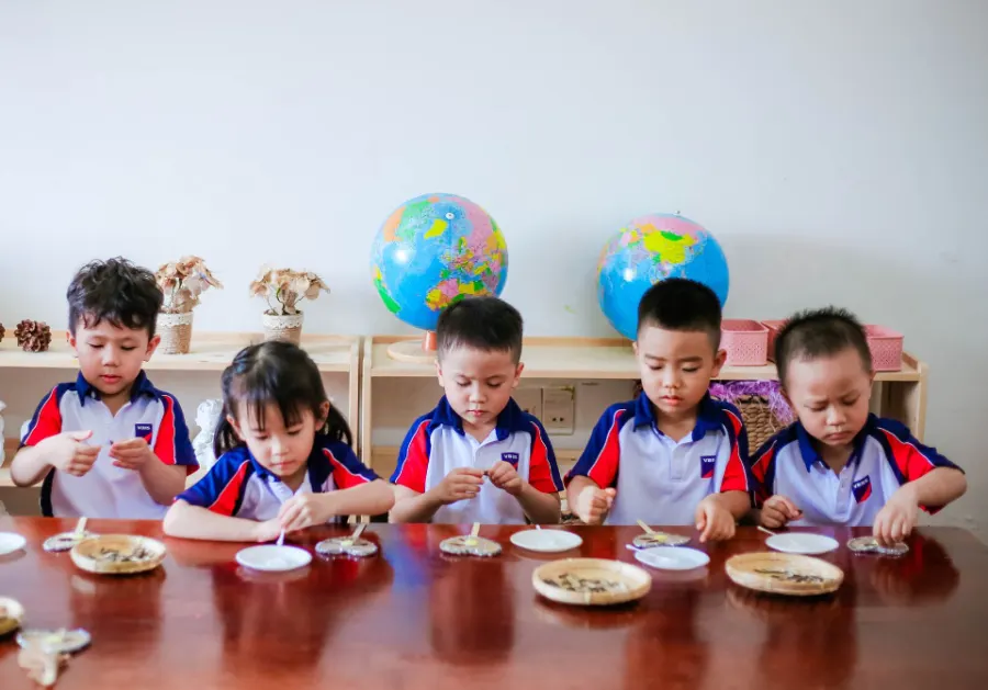 Trường Mầm non Việt Anh - Vietnamese british Bilingual School - VBBS Bình Thới