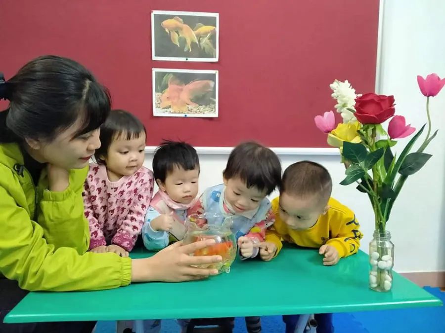Trường mầm non Ngôi Nhà Tuổi Thơ (GreenHouse Pre-school)