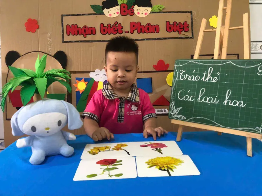 Mầm Non Mèo Kitty - Phú Tân