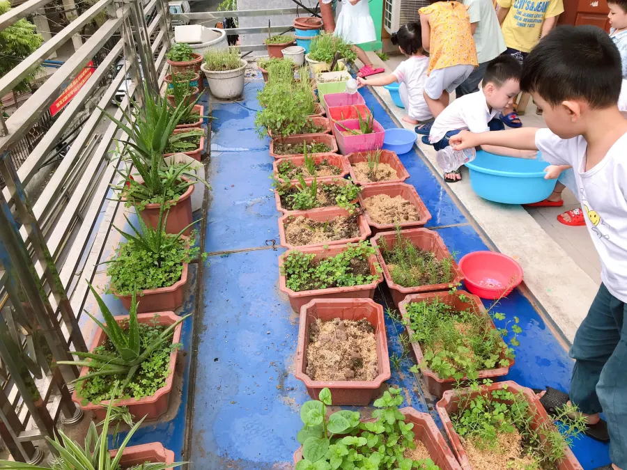 Trường mầm non Tuổi Thơ Montessori