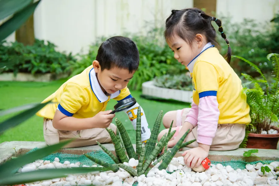IVY School - Cơ sở Thần Đồng Việt