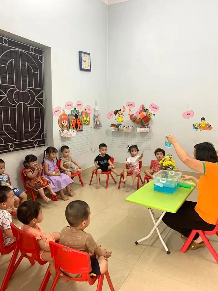 Mầm non San Hô