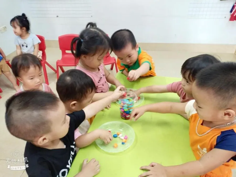 Mầm non San Hô